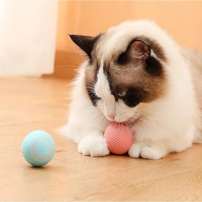 Bola Elétrica, auto rolante para cães e gatos!.